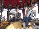 2015-05-30 17-21-59 Nantes-Carroussel des Mondes Marins FGn